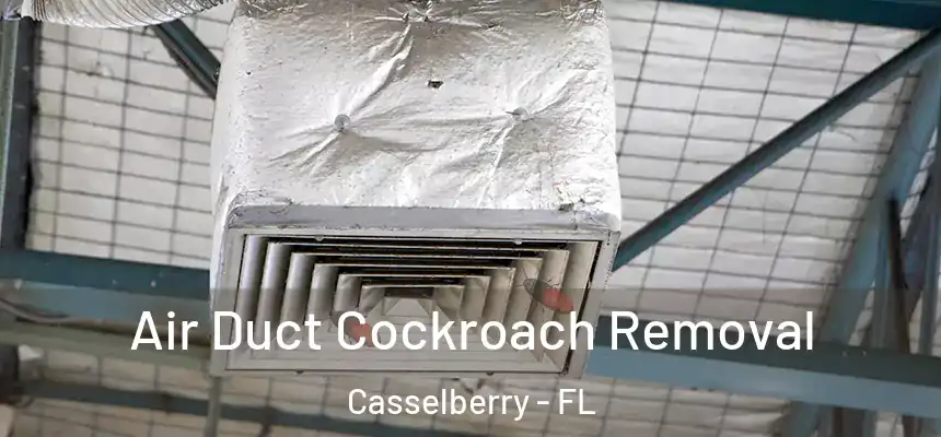 Air Duct Cockroach Removal Casselberry - FL