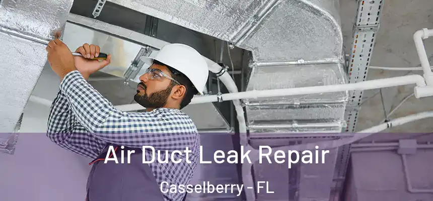 Air Duct Leak Repair Casselberry - FL
