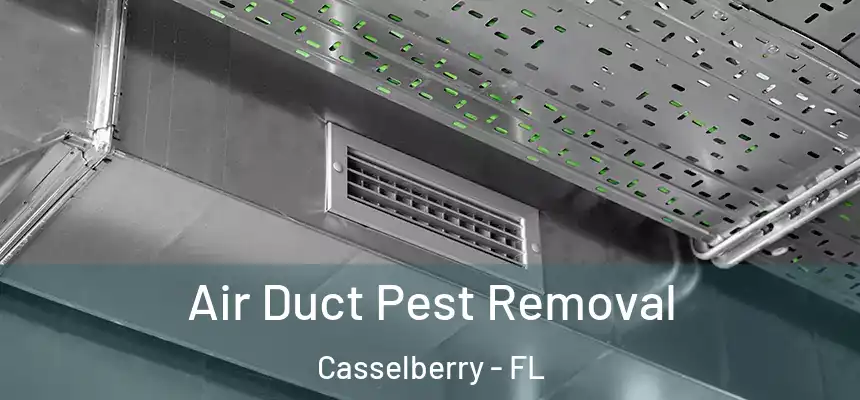 Air Duct Pest Removal Casselberry - FL
