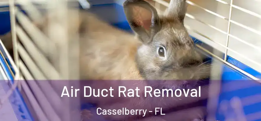 Air Duct Rat Removal Casselberry - FL