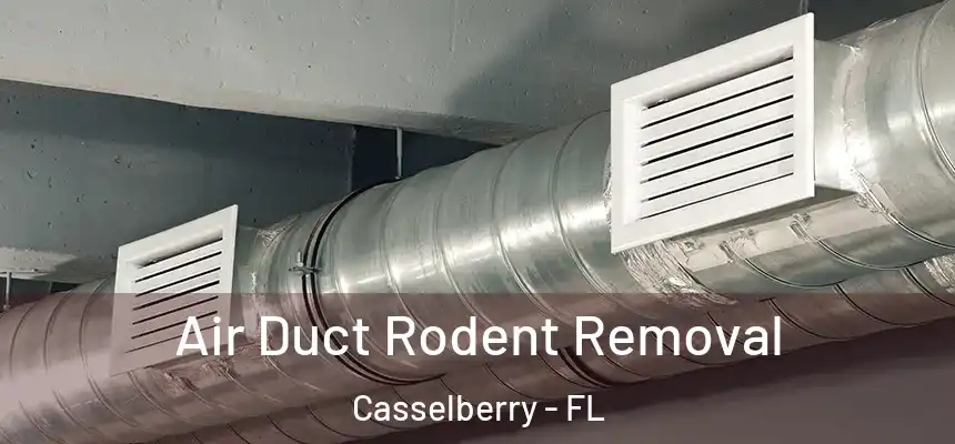 Air Duct Rodent Removal Casselberry - FL