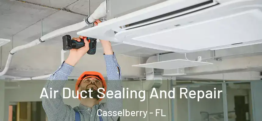 Air Duct Sealing And Repair Casselberry - FL