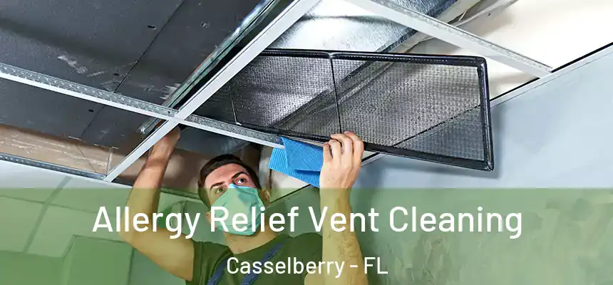Allergy Relief Vent Cleaning Casselberry - FL