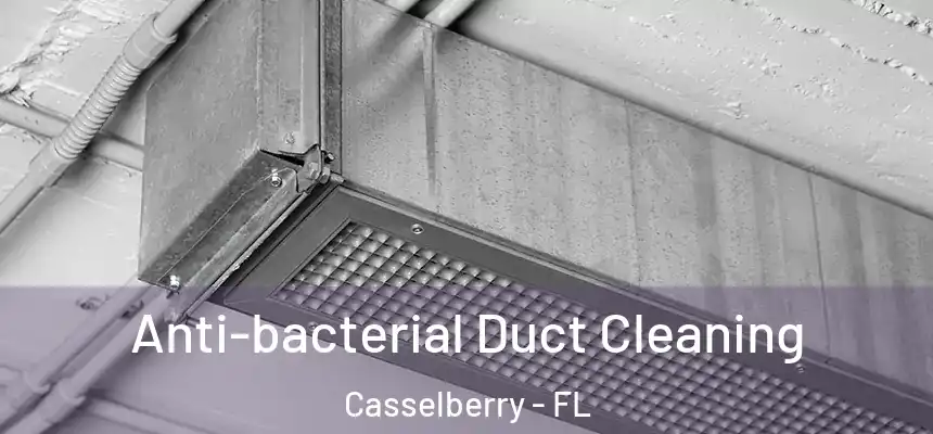 Anti-bacterial Duct Cleaning Casselberry - FL
