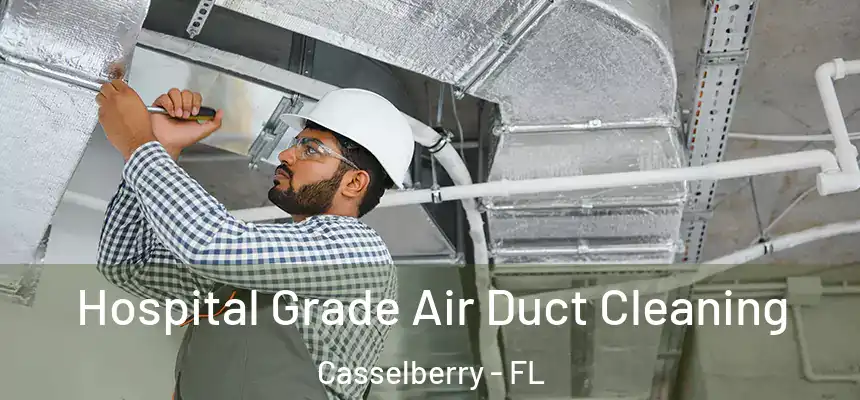 Hospital Grade Air Duct Cleaning Casselberry - FL