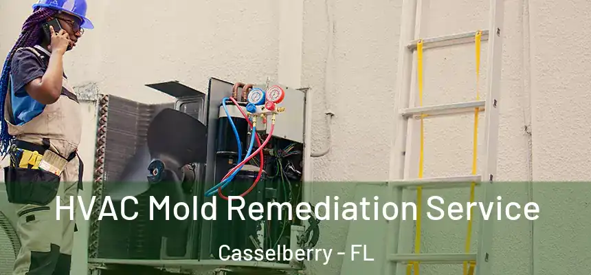 HVAC Mold Remediation Service Casselberry - FL