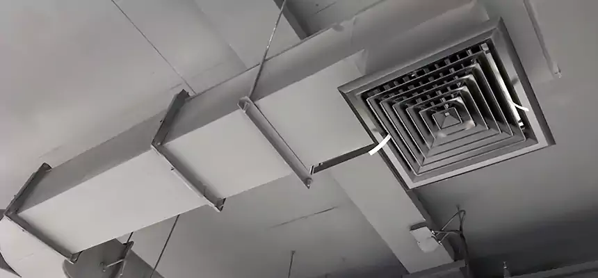 Restorative Allergy Relief Vent Cleaning – Coil, Blower & Housing Detail in Casselberry