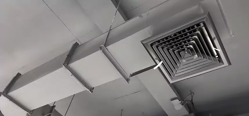 Our Pest Removal From Ducts Services in Casselberry, FL