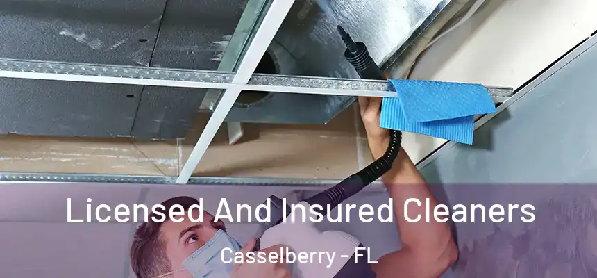 Licensed And Insured Cleaners Casselberry - FL