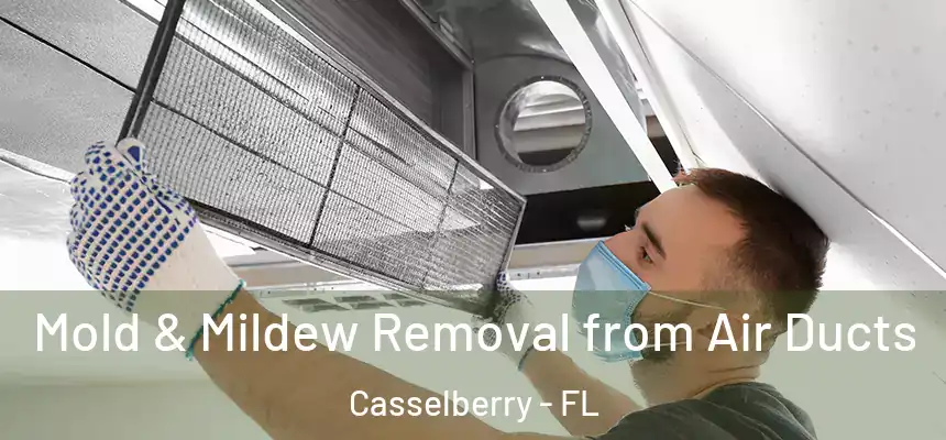 Mold & Mildew Removal from Air Ducts Casselberry - FL