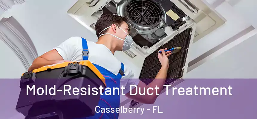 Mold-Resistant Duct Treatment Casselberry - FL