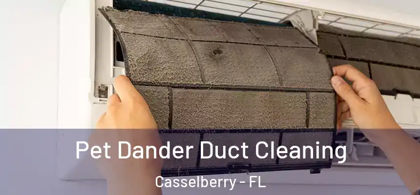 Pet Dander Duct Cleaning Casselberry - FL