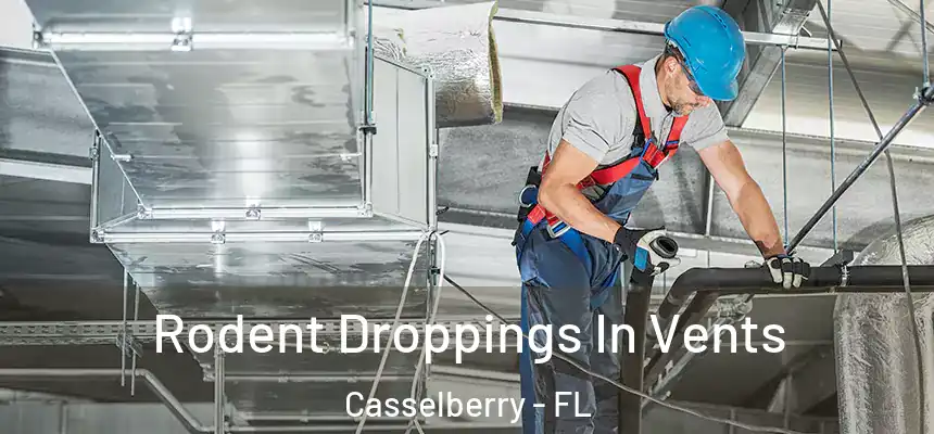 Rodent Droppings In Vents Casselberry - FL