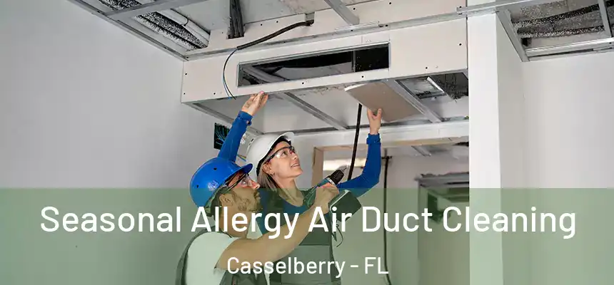 Seasonal Allergy Air Duct Cleaning Casselberry - FL