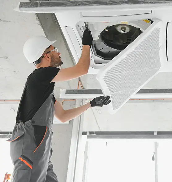 About Air Duct Rodent Removal in Casselberry, FL