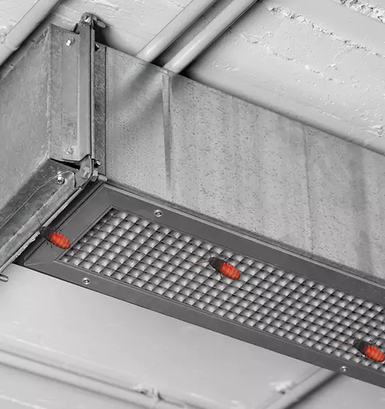 Affordable Insect Removal from Air Ducts in Casselberry, FL