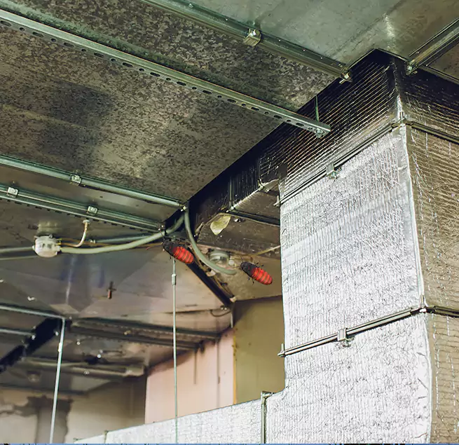 Why Homeowners & Businesses Trust Us in Casselberry, FL?