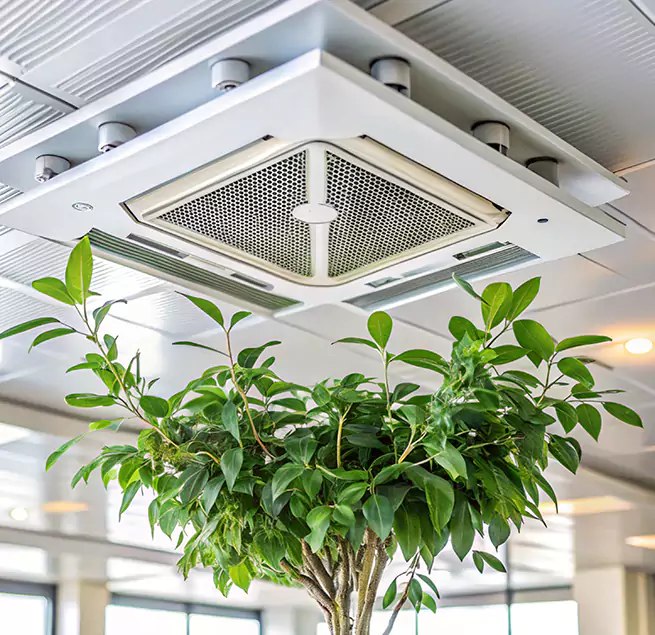 Why Homeowners & Businesses Trust Us in Casselberry, FL?